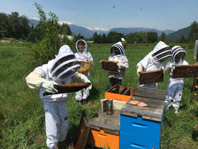 All Beekeeping Education - BeeKind Honey Bees Inc.