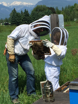 Teaching beekeeping, inspecting a frame of bees with a student