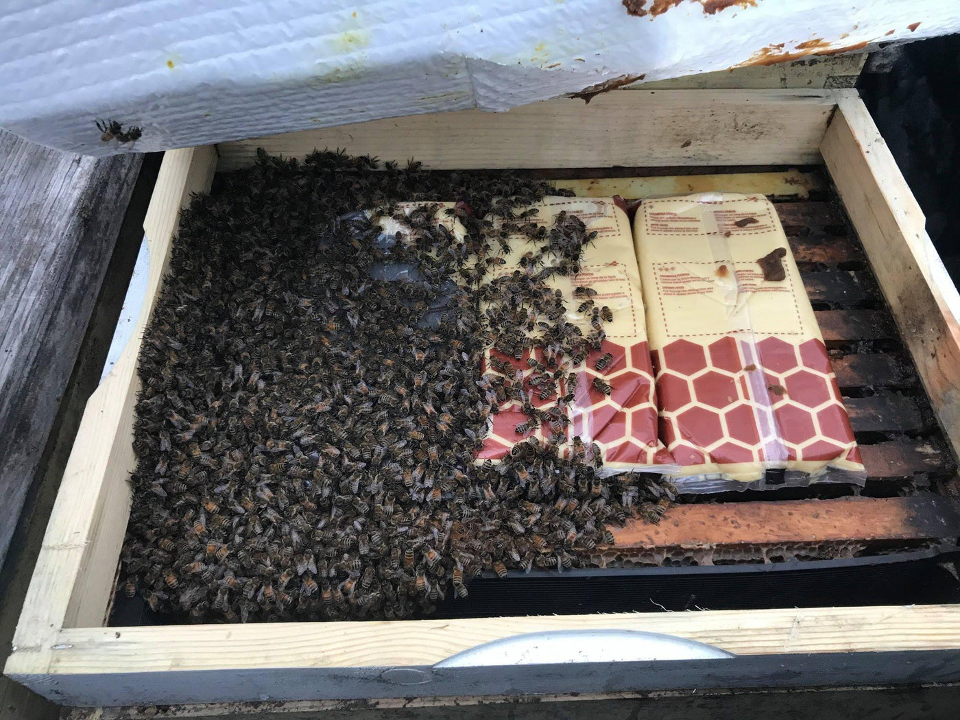 Apipasta Fondant - BeeKind Honey Bees Shop