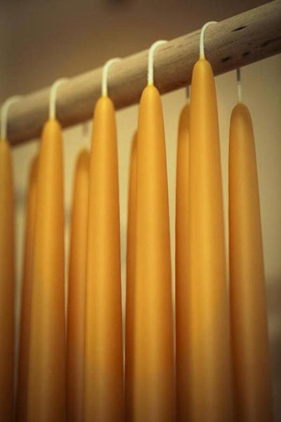 Beeswax Candle ~ Ten Inch Hand Dipped Taper Pair - BeeKind Honey Bees Inc.