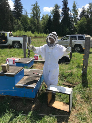 Adult Beekeeping Education - BeeKind Honey Bees Inc.