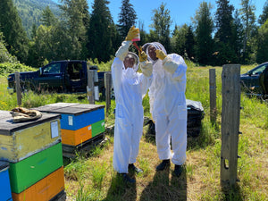 Beekeeping Courses - BeeKind Honey Bees Inc.