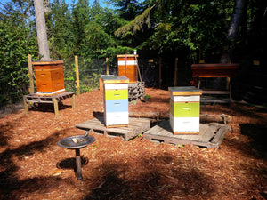 ShareHive Program - BeeKind Honey Bees Inc.