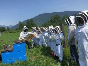 Youth Beekeeping Education - BeeKind Honey Bees Inc.