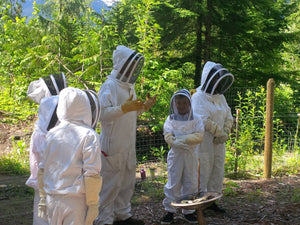 Talking about honey bees in the apiary