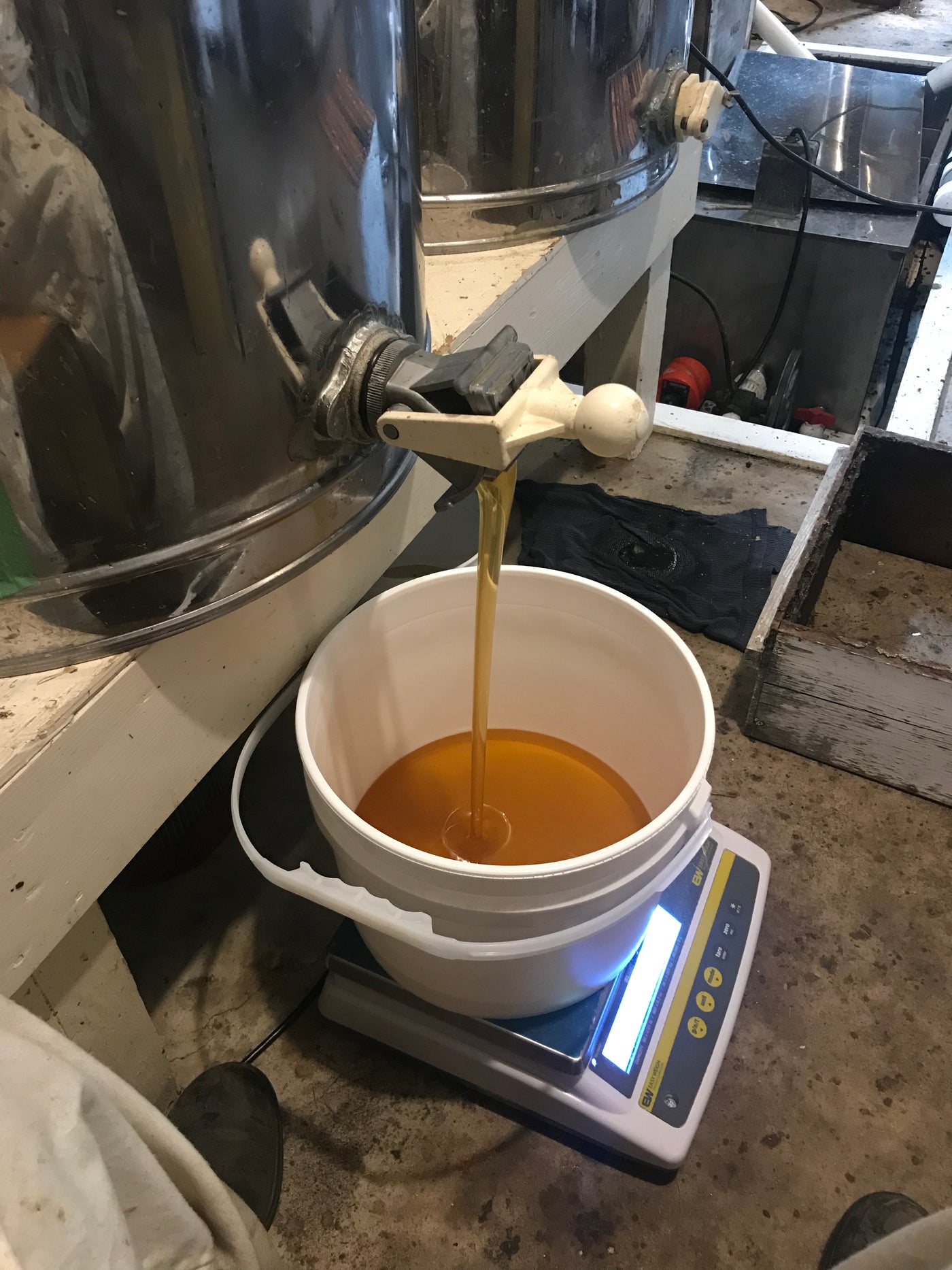 Raw extracted filtered honey in 15kg/ 33lb honey buckets ready for sale in Revelstoke BC Canada
