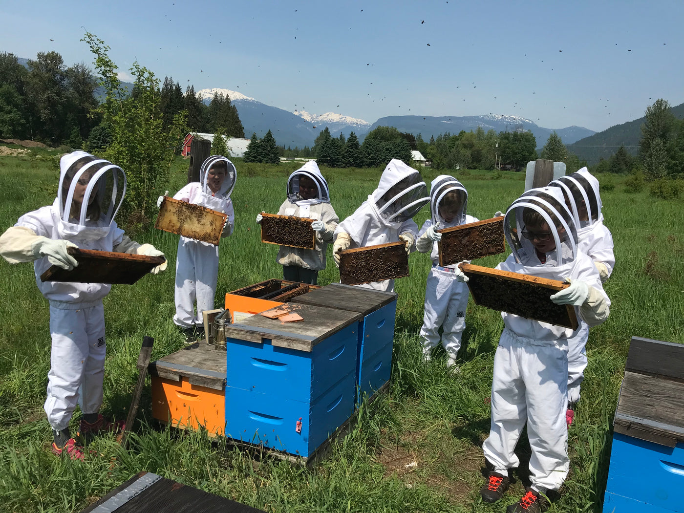 Beekeeping How To - Learn with BeeKind 