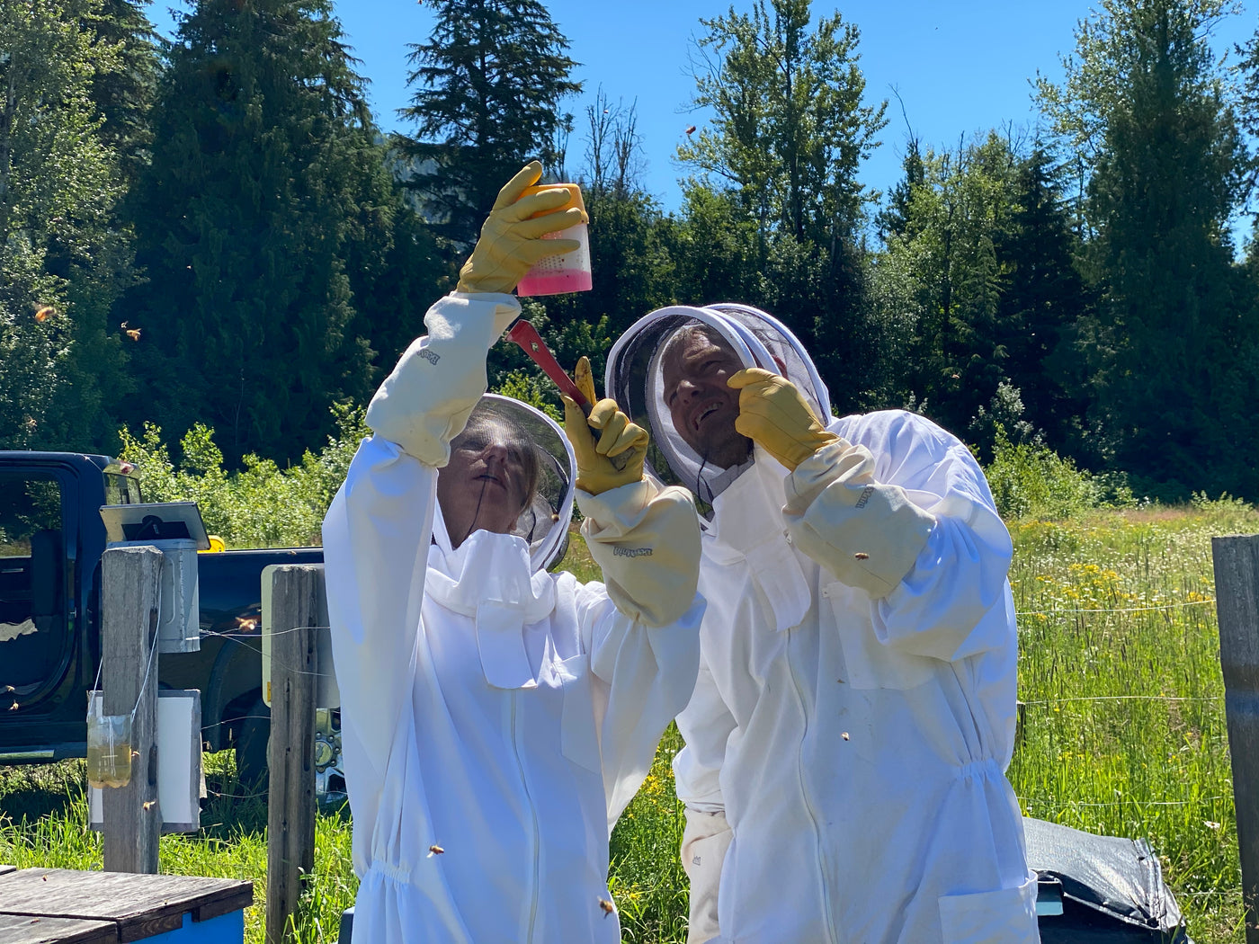 Beginner Beekeeping Course students inspecting a varroa mite test for mites