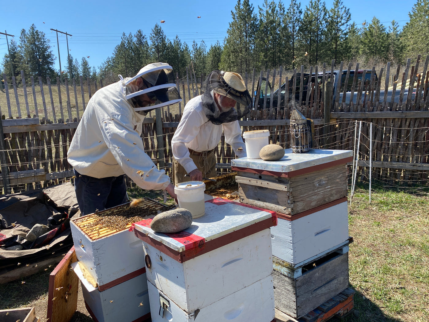 Revelstoke Local Honey Beekeepers