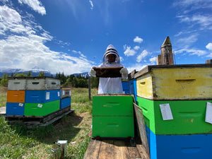 Beekeeping for Beginners