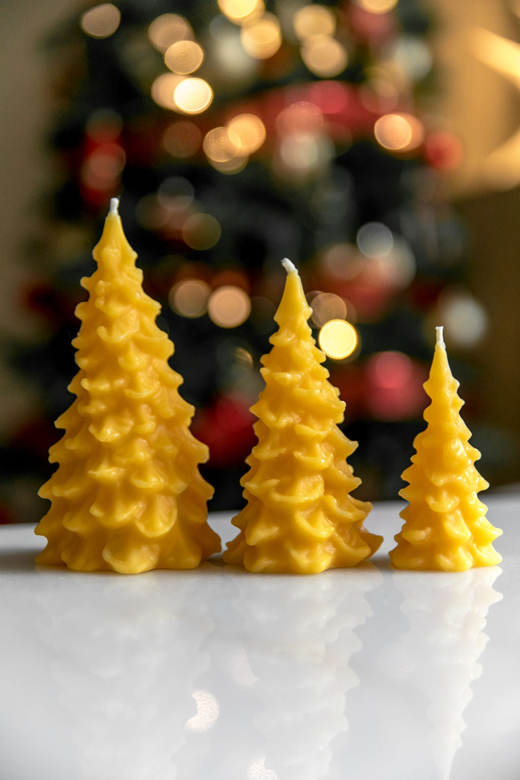 Ensemble de bougies en forme d'arbre à trois pins