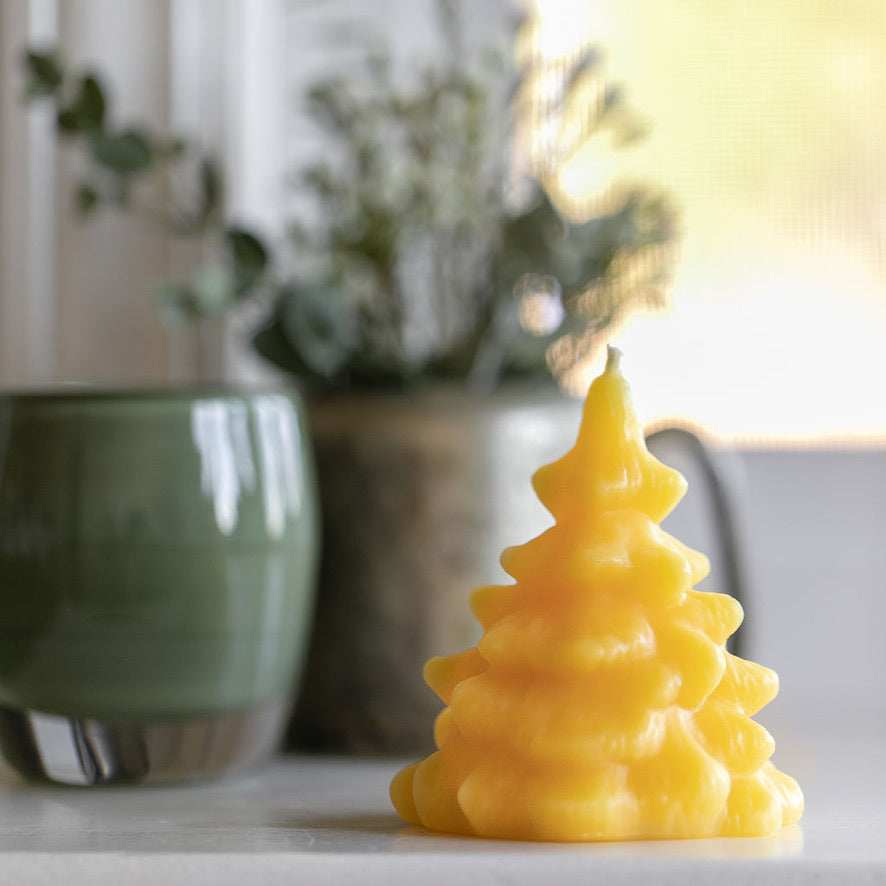 Spruce Tree Candle