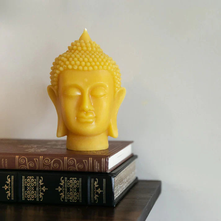 Yoga Studio Curated Big Box