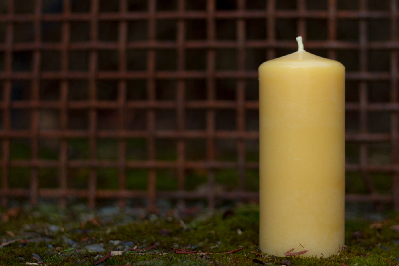 Beeswax Candles and Bulk Beeswax