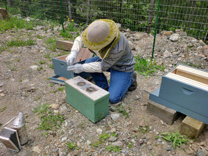 Beekeeping Education Resources