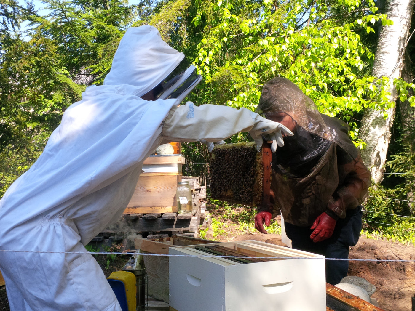 Learn Beekeeping