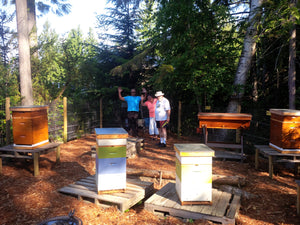 Revelstoke Beekeeping