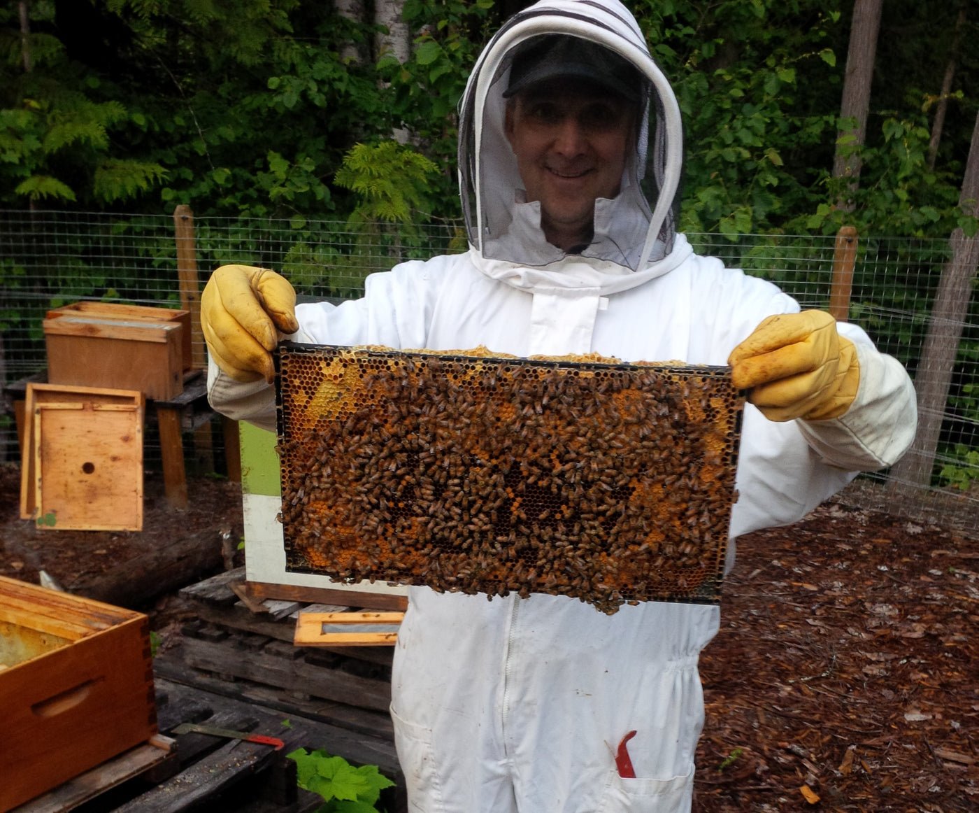 Revelstoke Local Honey and Bee Pollen