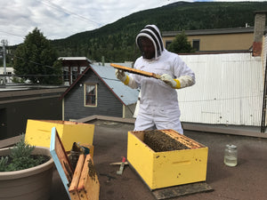 Learn Beekeeping