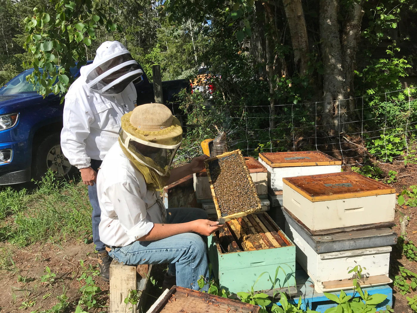 Local Beekeeping