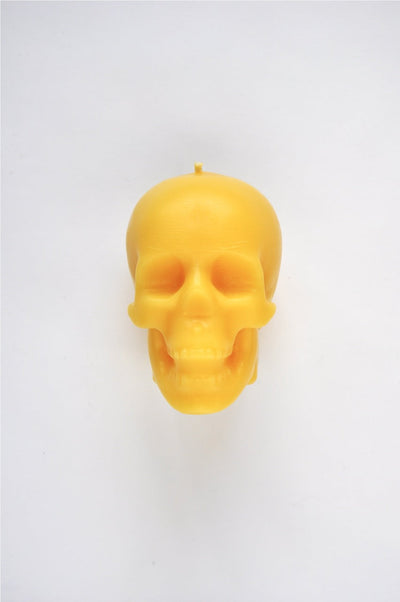 Skull Candle