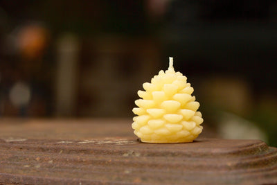 Wee Pine Cone Candle