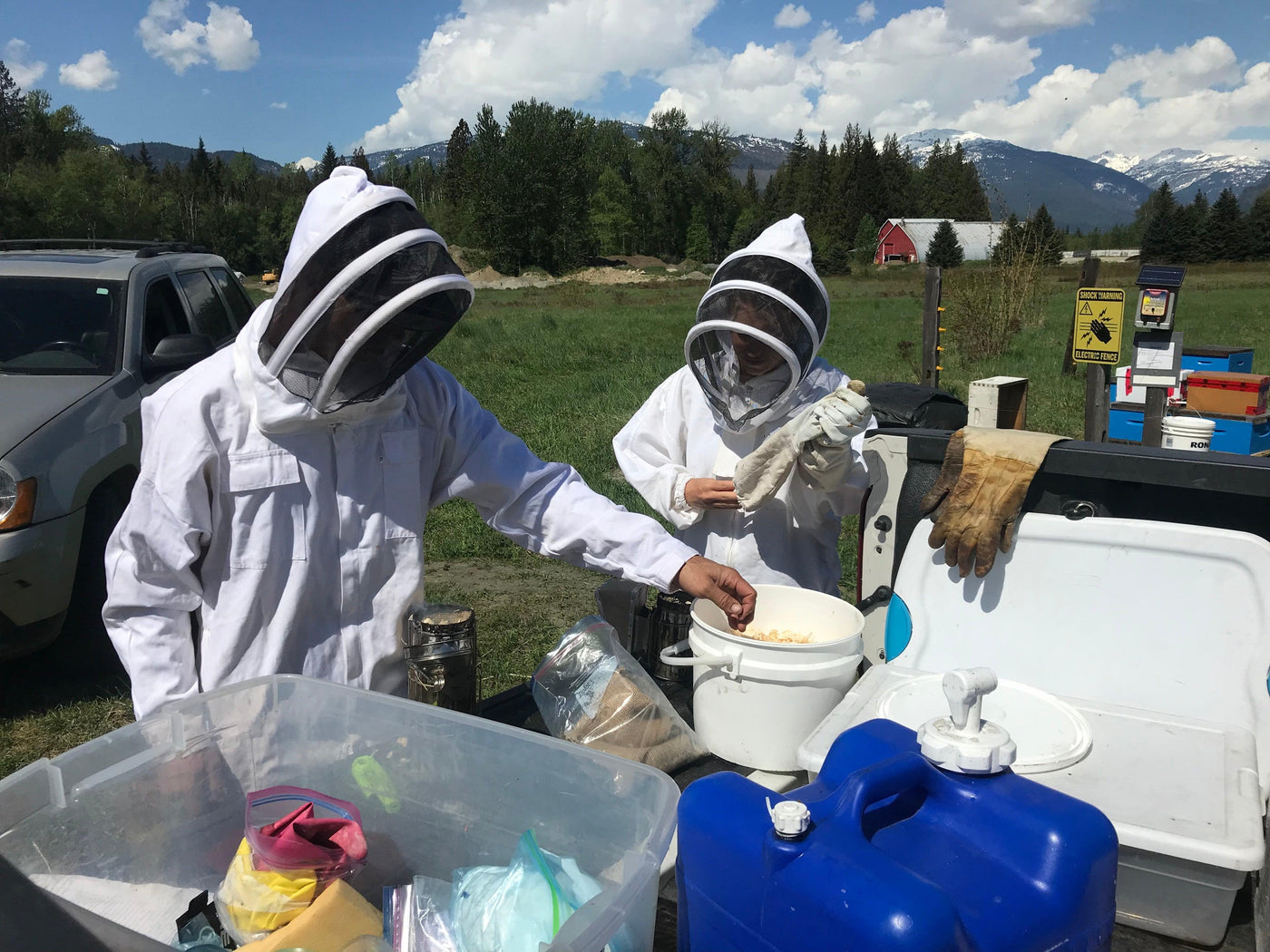 Beekeeping Course ~ Beginner - BeeKind Honey Bees Inc.