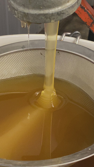 Honey ~ Raw Harvest Blend 7kg