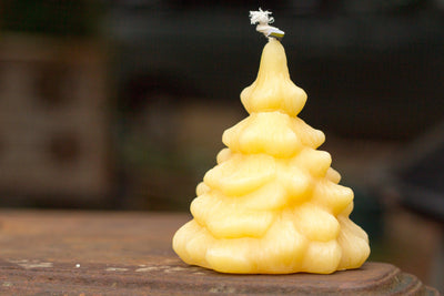 Beeswax Candle ~ Spruce Tree - BeeKind Honey Bees Inc.