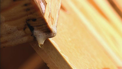 Wax Dipping ~ (Estimate Request) - BeeKind Honey Bees Inc.